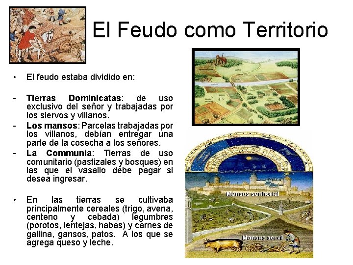 El Feudo como Territorio • El feudo estaba dividido en: - Tierras Dominicatas: de