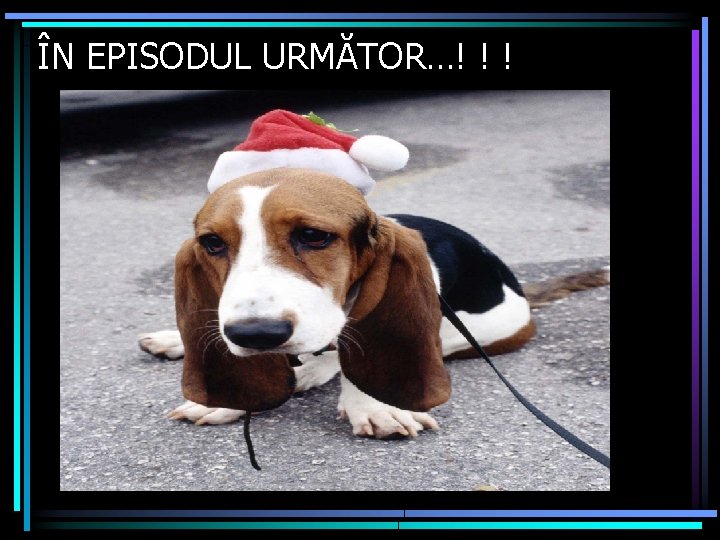 ÎN EPISODUL URMĂTOR…! ! ! 
