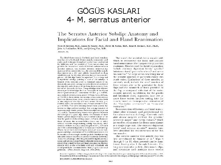 GÖGÜS KASLARI 4 - M. serratus anterior 