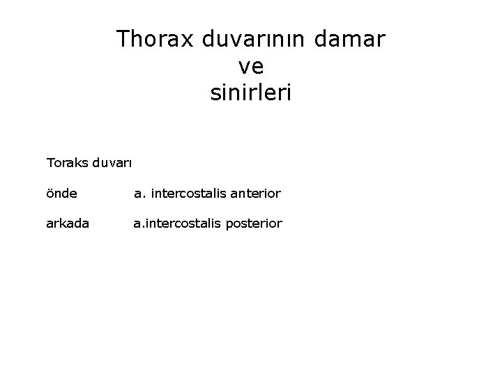 Thorax duvarının damar ve sinirleri Toraks duvarı önde a. intercostalis anterior arkada a. intercostalis