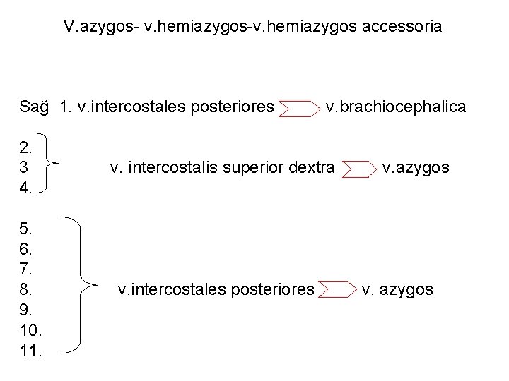 V. azygos- v. hemiazygos-v. hemiazygos accessoria Sağ 1. v. intercostales posteriores 2. 3 4.