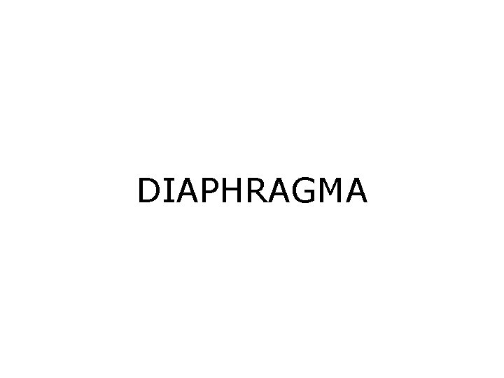 DIAPHRAGMA 