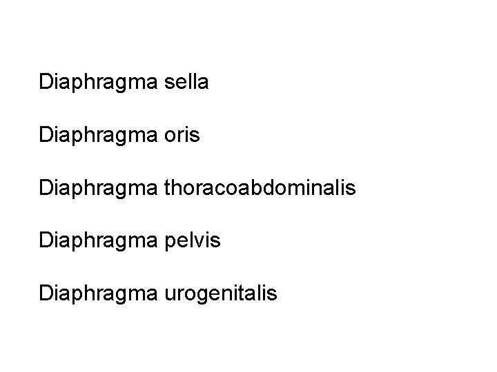 Diaphragma sella Diaphragma oris Diaphragma thoracoabdominalis Diaphragma pelvis Diaphragma urogenitalis 