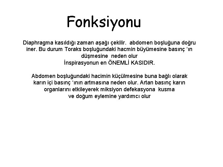 Fonksiyonu Diaphragma kasıldığı zaman aşağı çekilir. abdomen boşluğuna doğru iner. Bu durum Toraks boşluğundaki