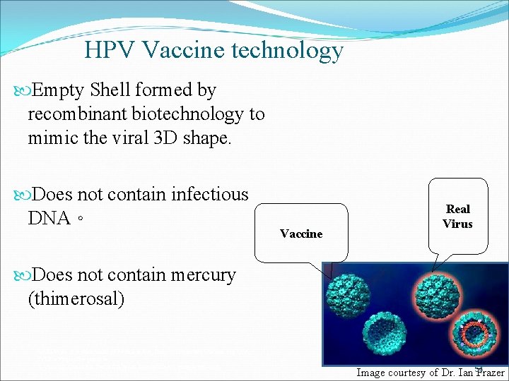 HPV Vaccine technology Empty Shell formed by recombinant biotechnology to mimic the viral 3