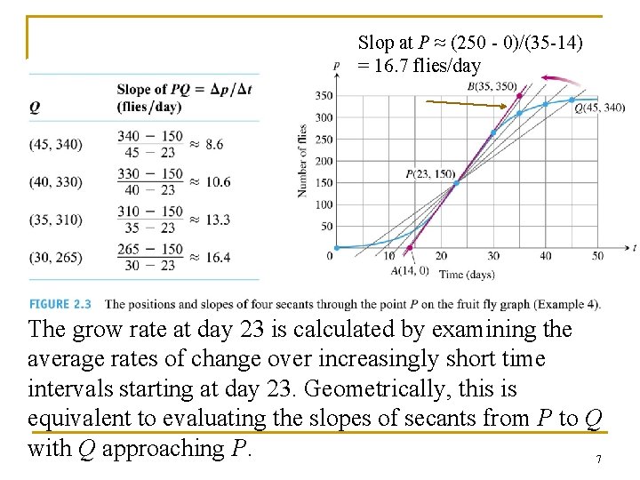 Slop at P ≈ (250 - 0)/(35 -14) = 16. 7 flies/day The grow