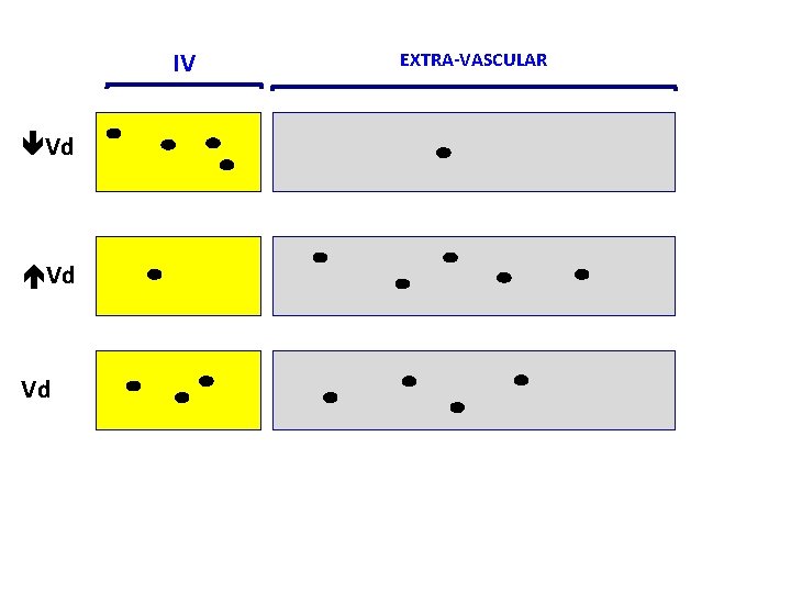 IV Vd Vd EXTRA-VASCULAR 