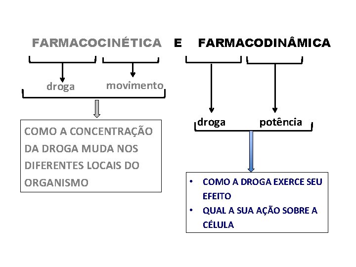 FARMACOCINÉTICA droga E FARMACODIN MICA movimento COMO A CONCENTRAÇÃO DA DROGA MUDA NOS DIFERENTES