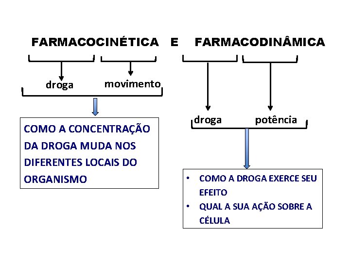FARMACOCINÉTICA E droga FARMACODIN MICA movimento COMO A CONCENTRAÇÃO DA DROGA MUDA NOS DIFERENTES
