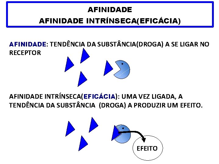 AFINIDADE INTRÍNSECA(EFICÁCIA) AFINIDADE: TENDÊNCIA DA SUBST NCIA(DROGA) A SE LIGAR NO RECEPTOR AFINIDADE INTRÍNSECA(EFICÁCIA):