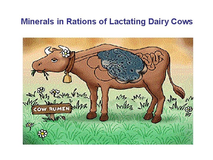 Minerals in Rations of Lactating Dairy Cows 