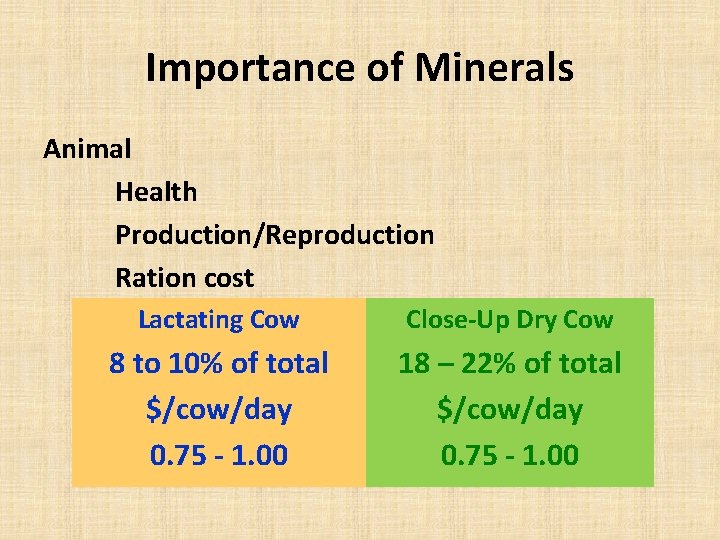 Importance of Minerals Animal Health Production/Reproduction Ration cost Lactating Cow Close-Up Dry Cow 8