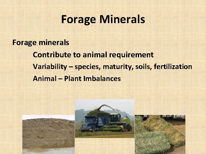 Forage Minerals Forage minerals Contribute to animal requirement Variability – species, maturity, soils, fertilization