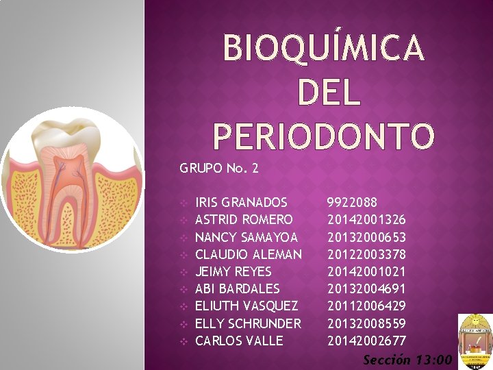 BIOQUÍMICA DEL PERIODONTO GRUPO No. 2 v v v v v IRIS GRANADOS ASTRID