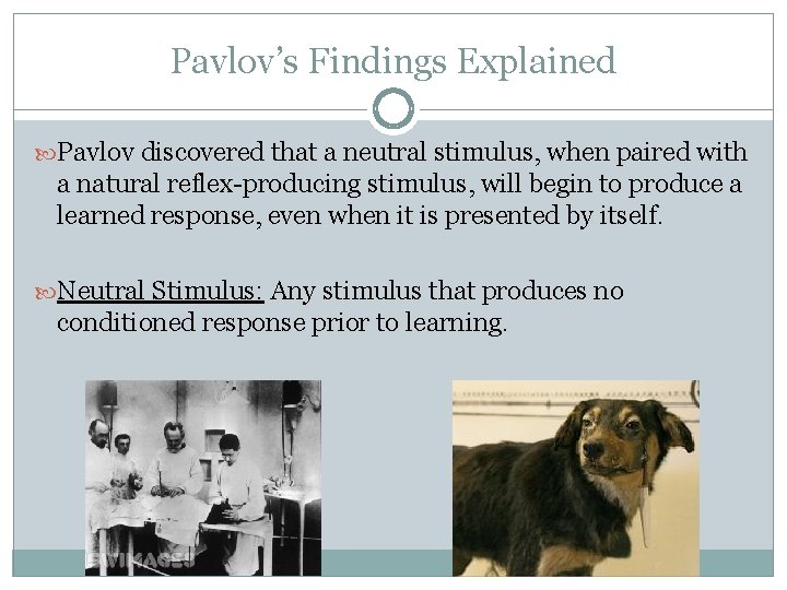 Pavlov’s Findings Explained Pavlov discovered that a neutral stimulus, when paired with a natural