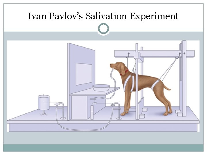 Ivan Pavlov’s Salivation Experiment 