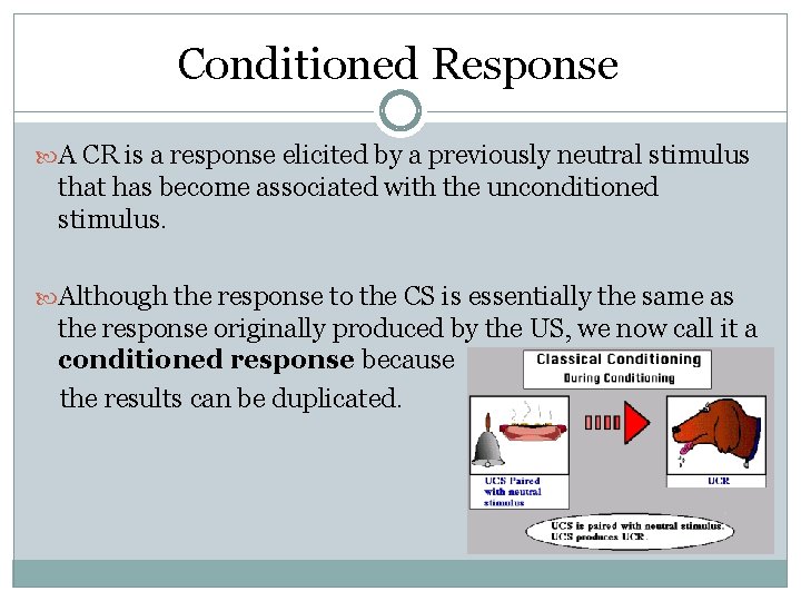 Conditioned Response A CR is a response elicited by a previously neutral stimulus that