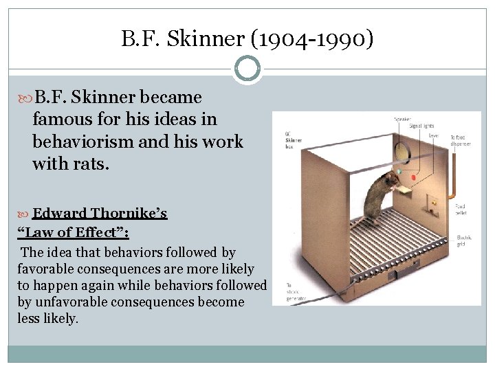 B. F. Skinner (1904 -1990) B. F. Skinner became famous for his ideas in