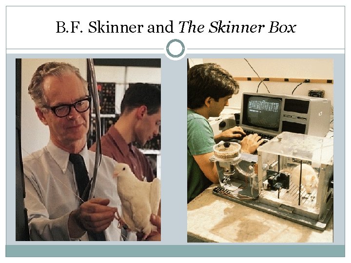 B. F. Skinner and The Skinner Box 