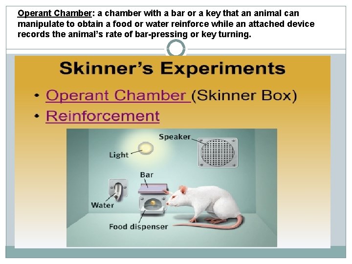 Operant Chamber: a chamber with a bar or a key that an animal can