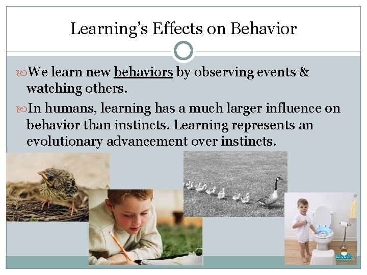 Learning’s Effects on Behavior We learn new behaviors by observing events & watching others.