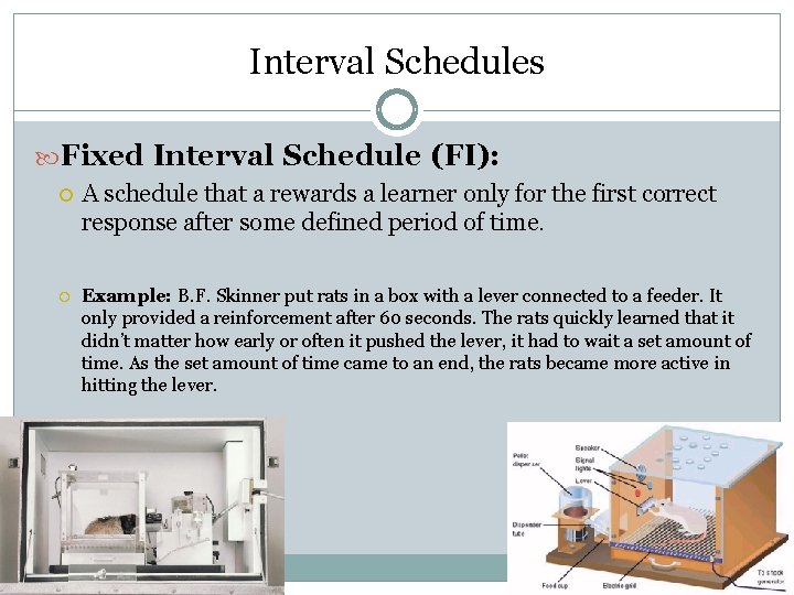 Interval Schedules Fixed Interval Schedule (FI): A schedule that a rewards a learner only