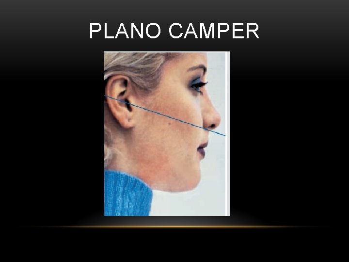 PLANO CAMPER PLANO CAMPER