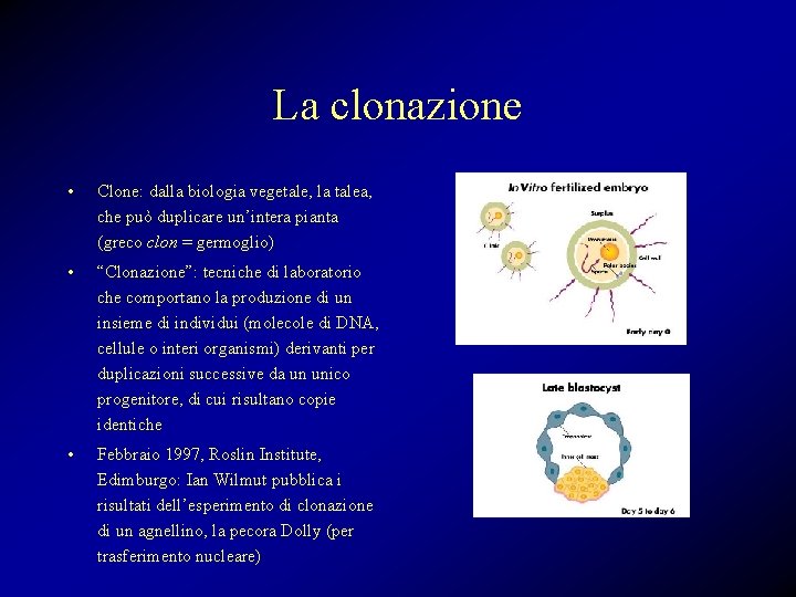 La clonazione • Clone: dalla biologia vegetale, la talea, che può duplicare un’intera pianta