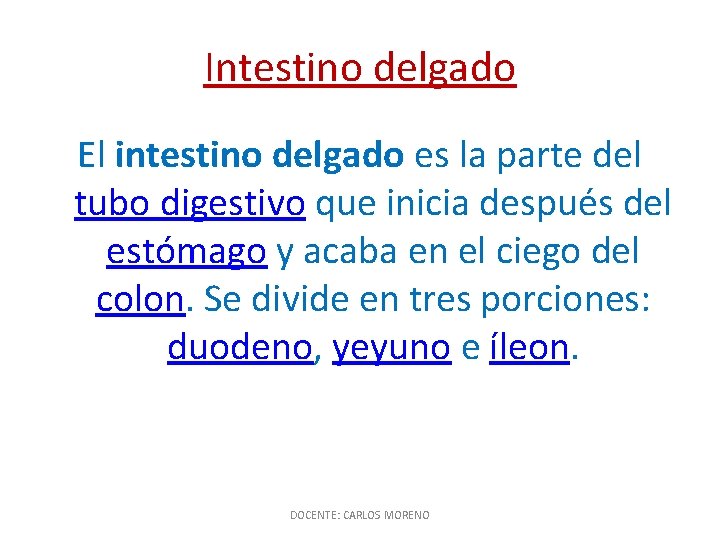 Intestino delgado El intestino delgado es la parte del tubo digestivo que inicia después