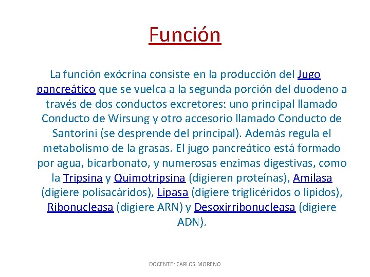 Función La función exócrina consiste en la producción del Jugo pancreático que se vuelca