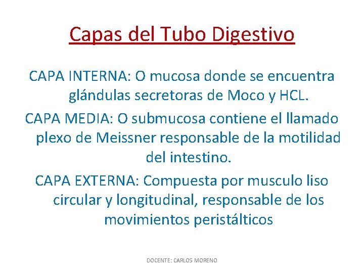 Capas del Tubo Digestivo CAPA INTERNA: O mucosa donde se encuentra glándulas secretoras de