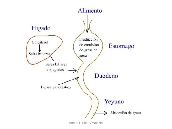 DOCENTE: CARLOS MORENO 