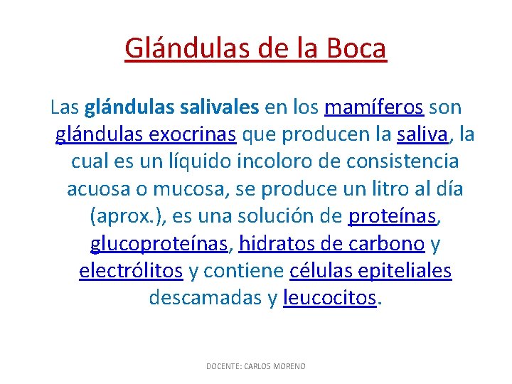 Glándulas de la Boca Las glándulas salivales en los mamíferos son glándulas exocrinas que