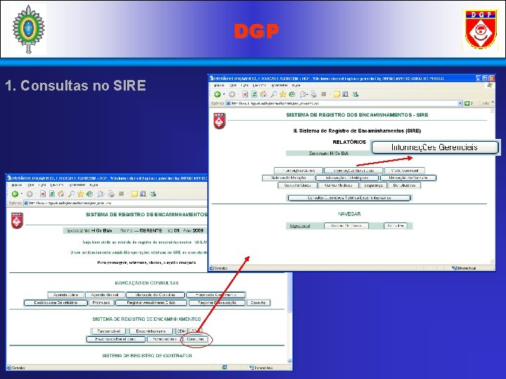 DGP 1. Consultas no SIRE 
