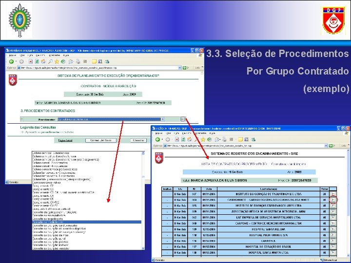 3. 3. Seleção de Procedimentos Por Grupo Contratado (exemplo) 