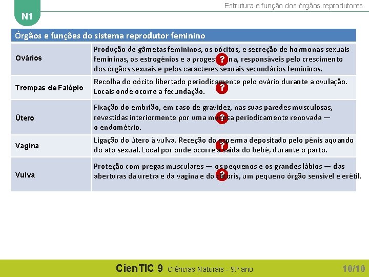 Estrutura e função dos órgãos reprodutores N 1 Órgãos e funções do sistema reprodutor