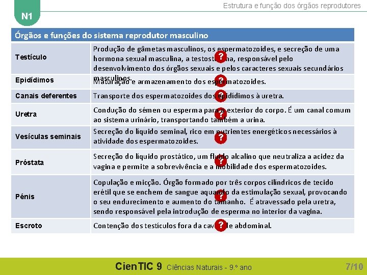 Estrutura e função dos órgãos reprodutores N 1 Órgãos e funções do sistema reprodutor