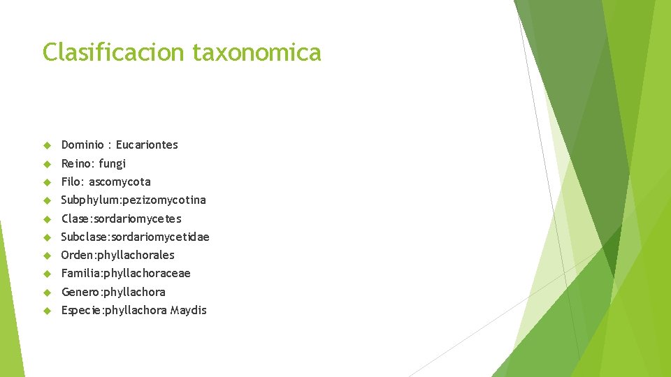 Clasificacion taxonomica Dominio : Eucariontes Reino: fungi Filo: ascomycota Subphylum: pezizomycotina Clase: sordariomycetes Subclase: