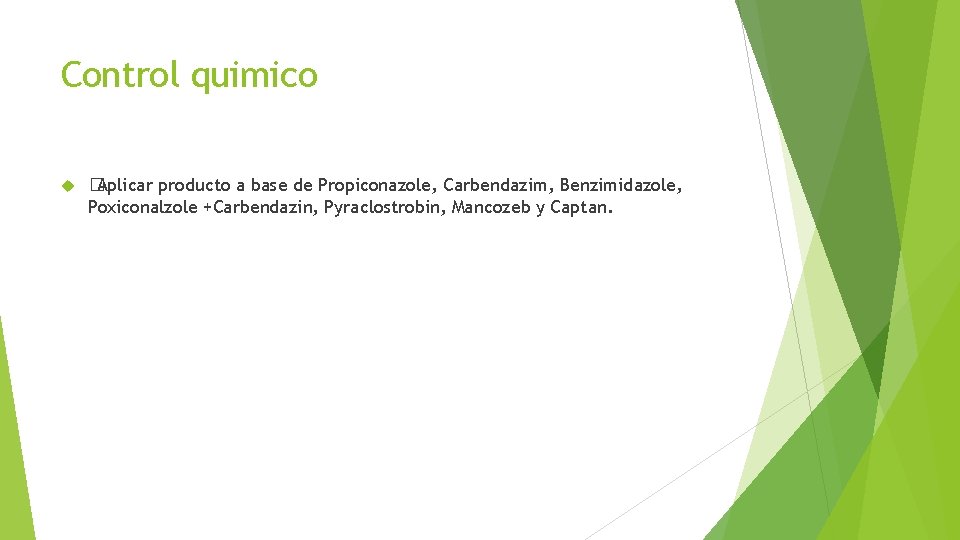 Control quimico �Aplicar producto a base de Propiconazole, Carbendazim, Benzimidazole, Poxiconalzole +Carbendazin, Pyraclostrobin, Mancozeb