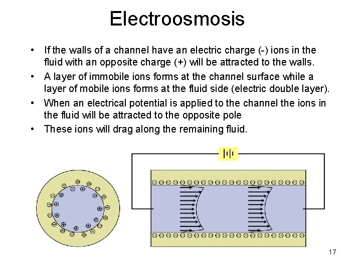 Electroosmosis • If the walls of a channel have an electric charge (-) ions