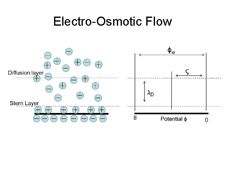 Electro-Osmotic Flow 