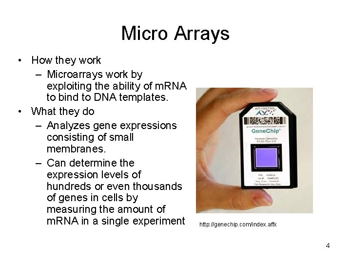 Micro Arrays • How they work – Microarrays work by exploiting the ability of