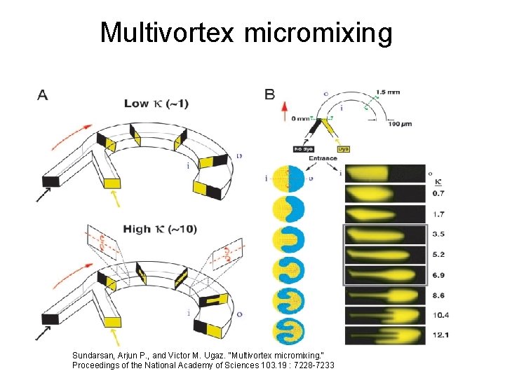 Multivortex micromixing Sundarsan, Arjun P. , and Victor M. Ugaz. "Multivortex micromixing. " Proceedings
