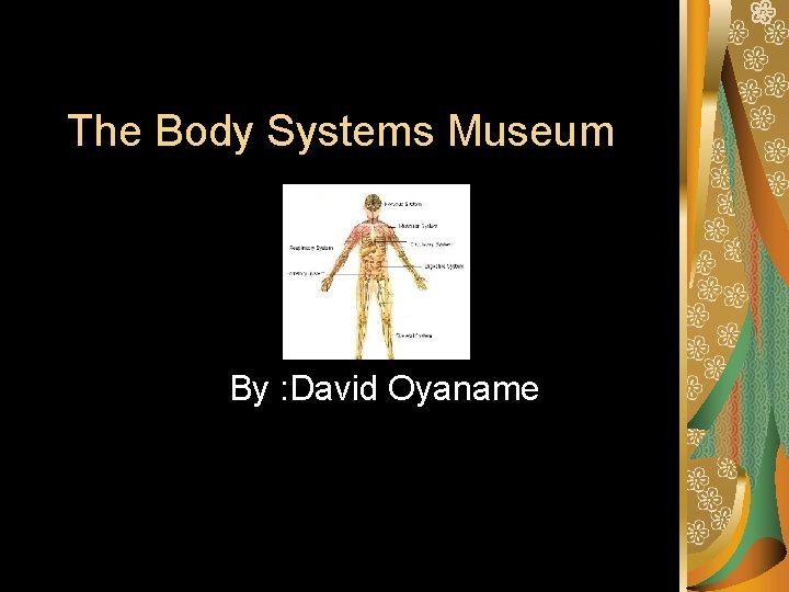 The Body Systems Museum By : David Oyaname 