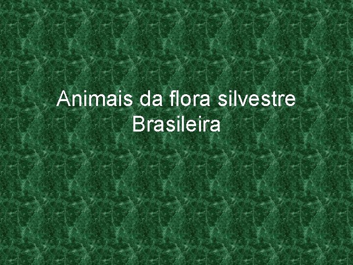 Animais da flora silvestre Brasileira 