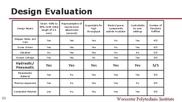 Design Evaluation 20 Design Means Strain -50% to 50% (with initial length of 3.