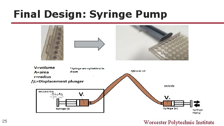 Final Design: Syringe Pump 25 Worcester Polytechnic Institute 