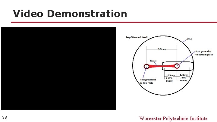 Video Demonstration 38 Worcester Polytechnic Institute 