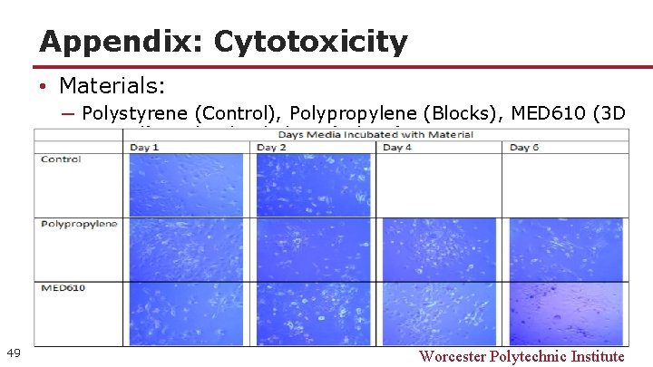 Appendix: Cytotoxicity • Materials: ─ Polystyrene (Control), Polypropylene (Blocks), MED 610 (3 D Printed),