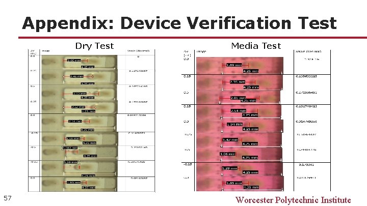 Appendix: Device Verification Test Dry Test 57 Media Test Worcester Polytechnic Institute 